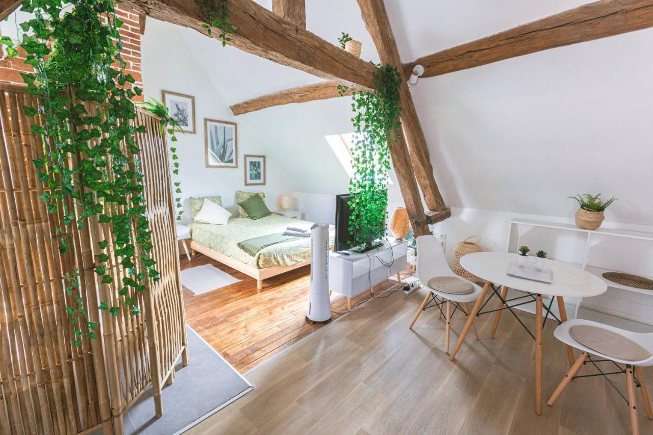 Au Zen Garden Apartment Auxerre Exterior foto